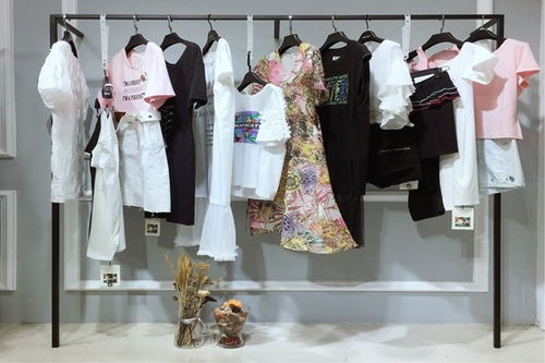 品牌女裝連衣衫裙大連大碼女胖mm新款連衣裙女裝批發(fā)市場(chǎng)哪里好